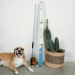 Whimsy Stick Flirt Pole Interactive Dog Toy, Large Dog Toy, Product Image