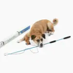 Whimsy Stick Flirt Pole Interactive Dog Toy, Large Dog Toy, Product Image