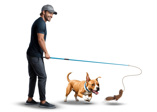 best-dog-toy-play-exercise interactive dog toy, dog exercise, dog play