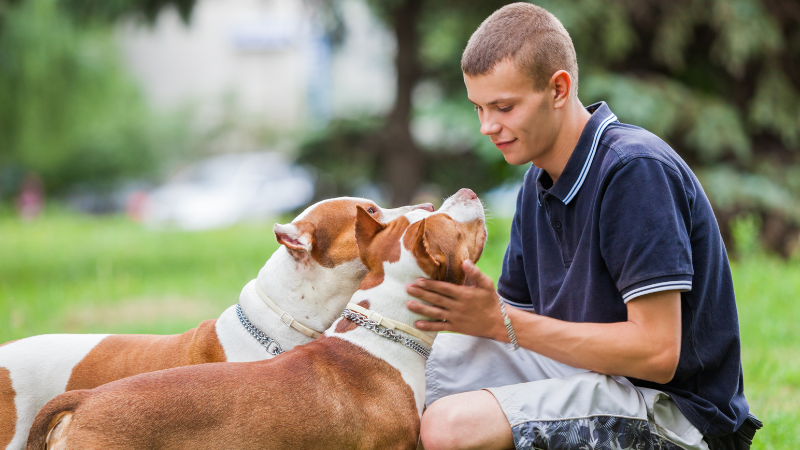 Dog owner using the 5-minute power nap hack to calm an overtired dog