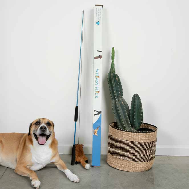 Whimsy Stick Rugged XL in a real training environment