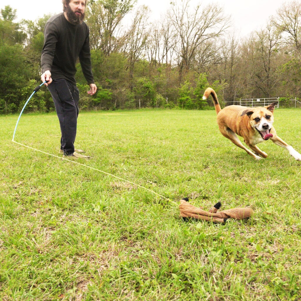Whimsy Stick Flirt Pole For Dogs, Interactive Dog Toy, Exercise Toy